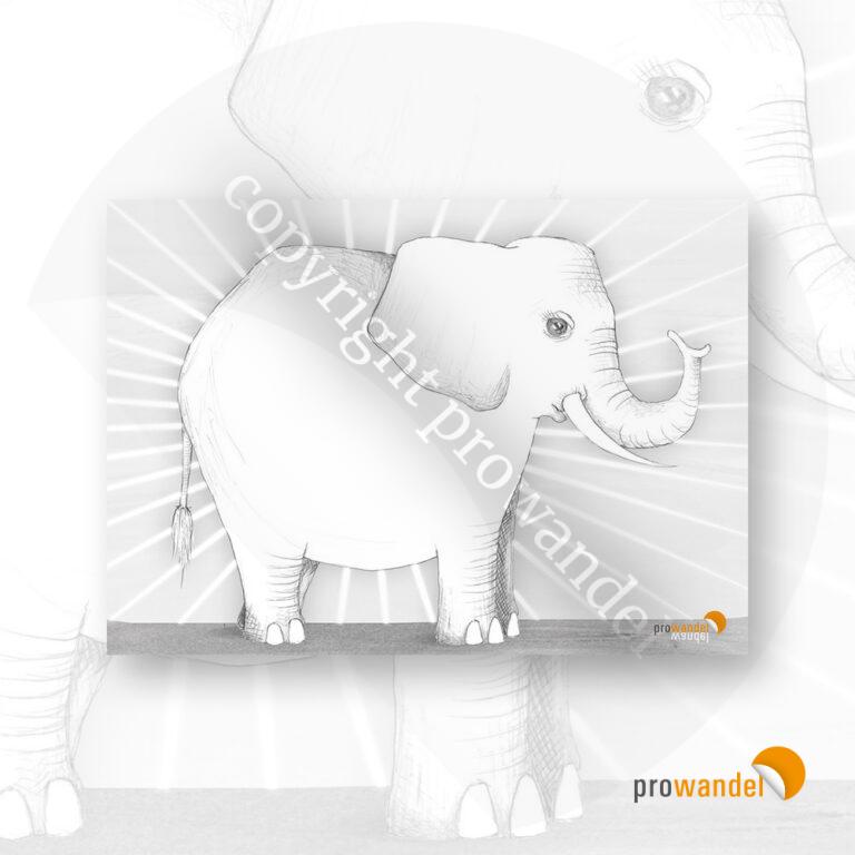 Elefant - Poster A1 - Analyse